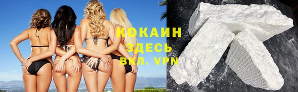 дживик Гусь-Хрустальный