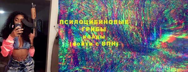 дживик Гусиноозёрск