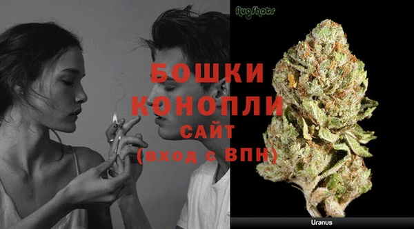 дживик Гусь-Хрустальный